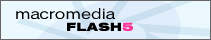flash_logo